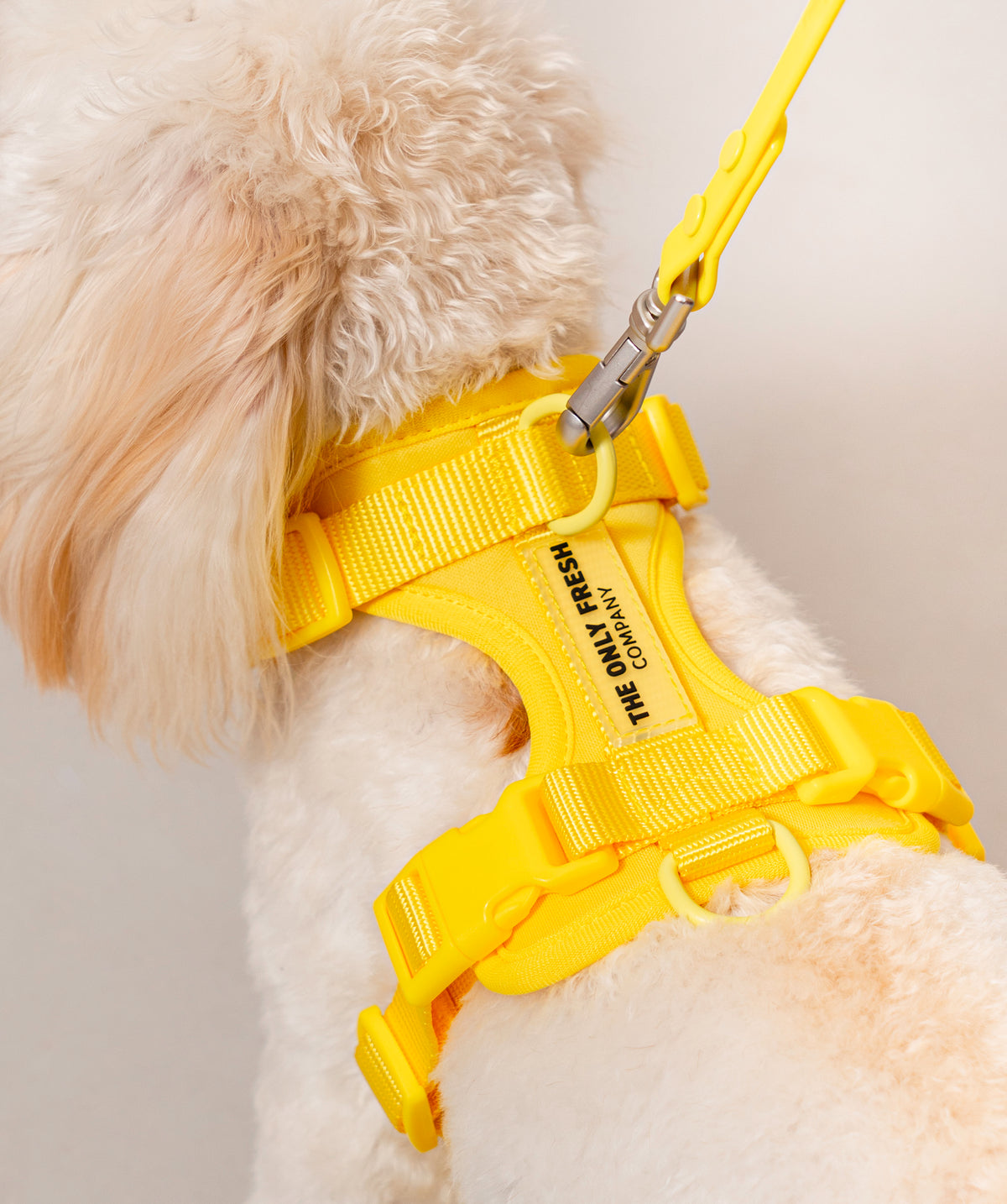 Smart Harness - Gelb