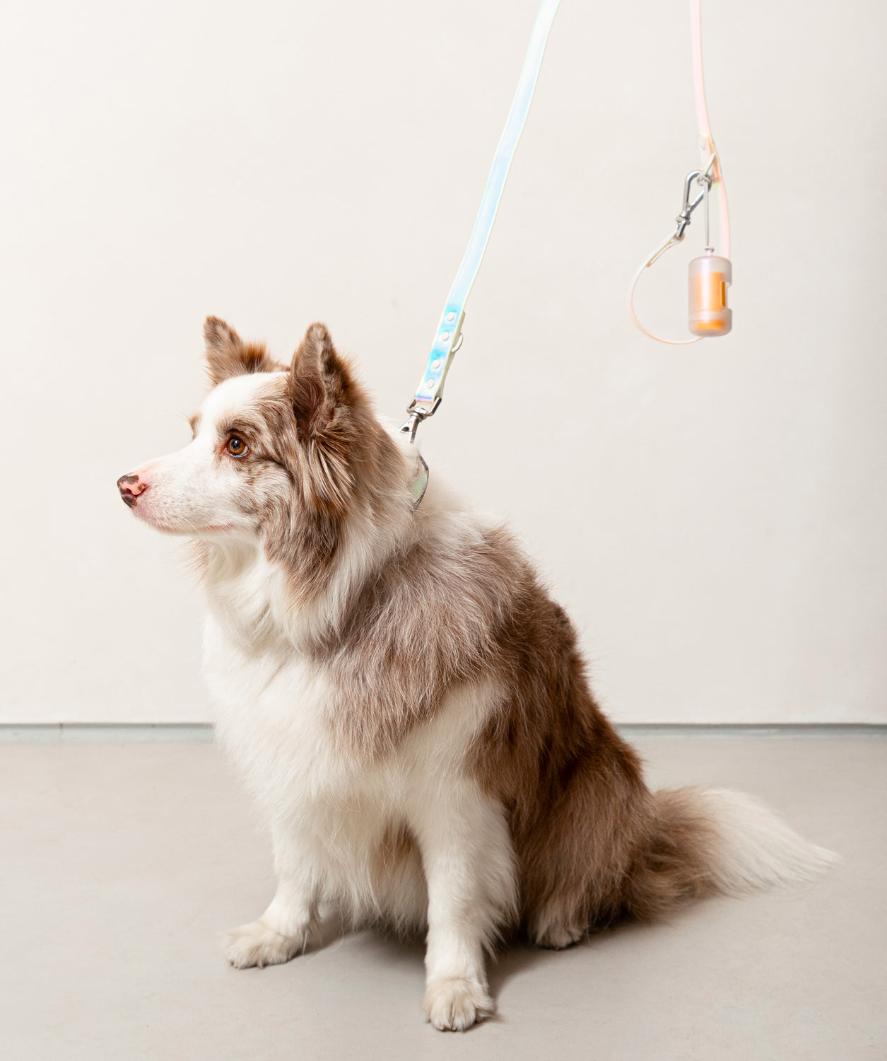 Onlyfresh Smart Dog Leash Lunar iridescent waterproof