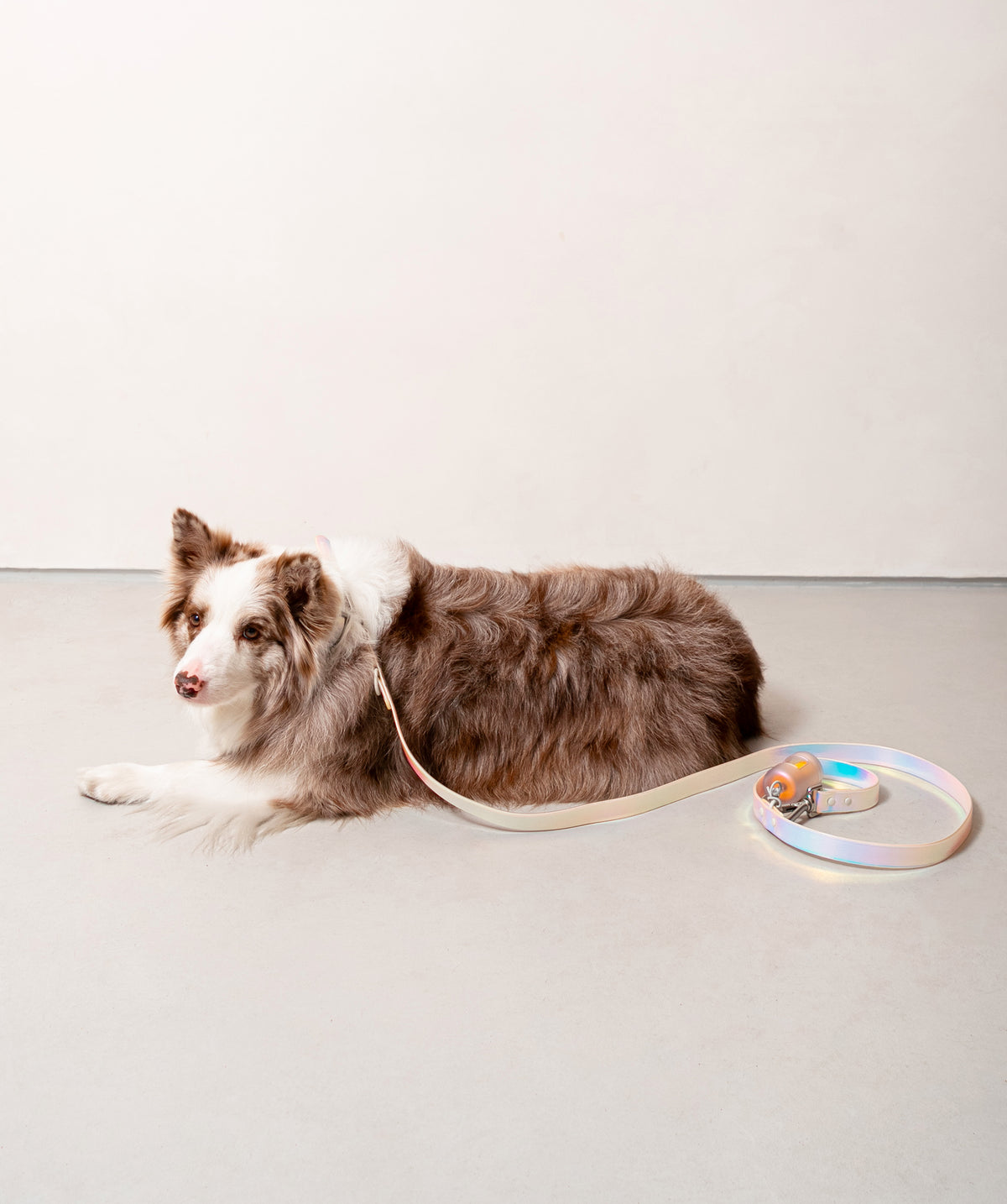 Smart Dog Leash