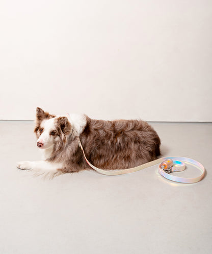 Smart Dog Leash