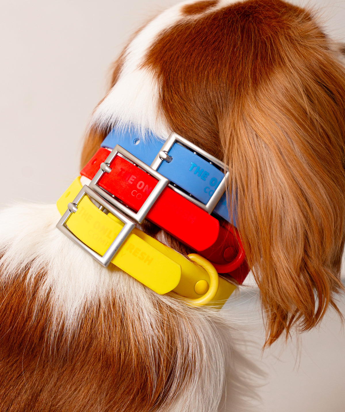 Smart Dog Collar - Multicolore