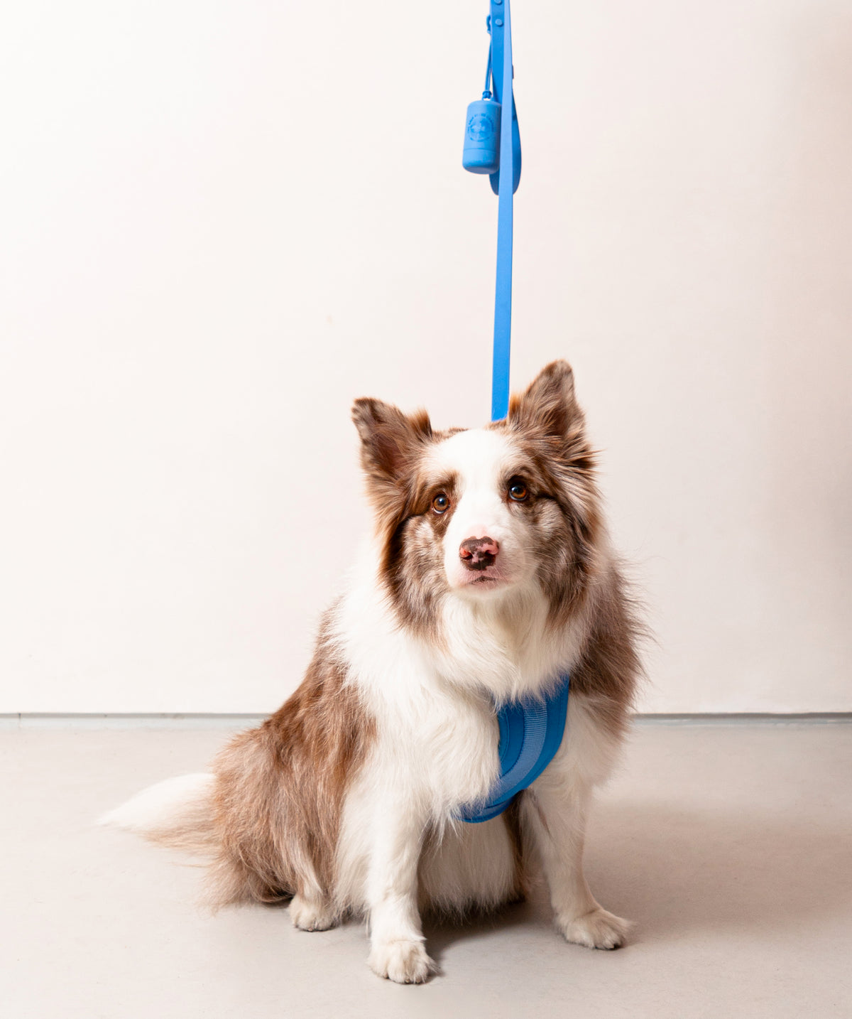 Smart Harness
