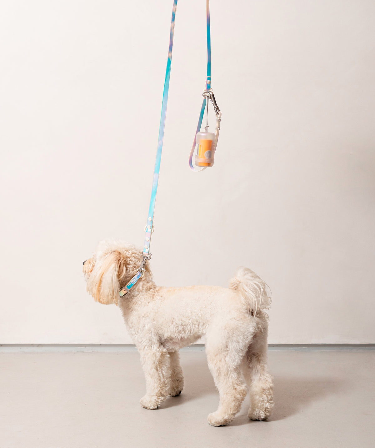 Smart Dog Leash