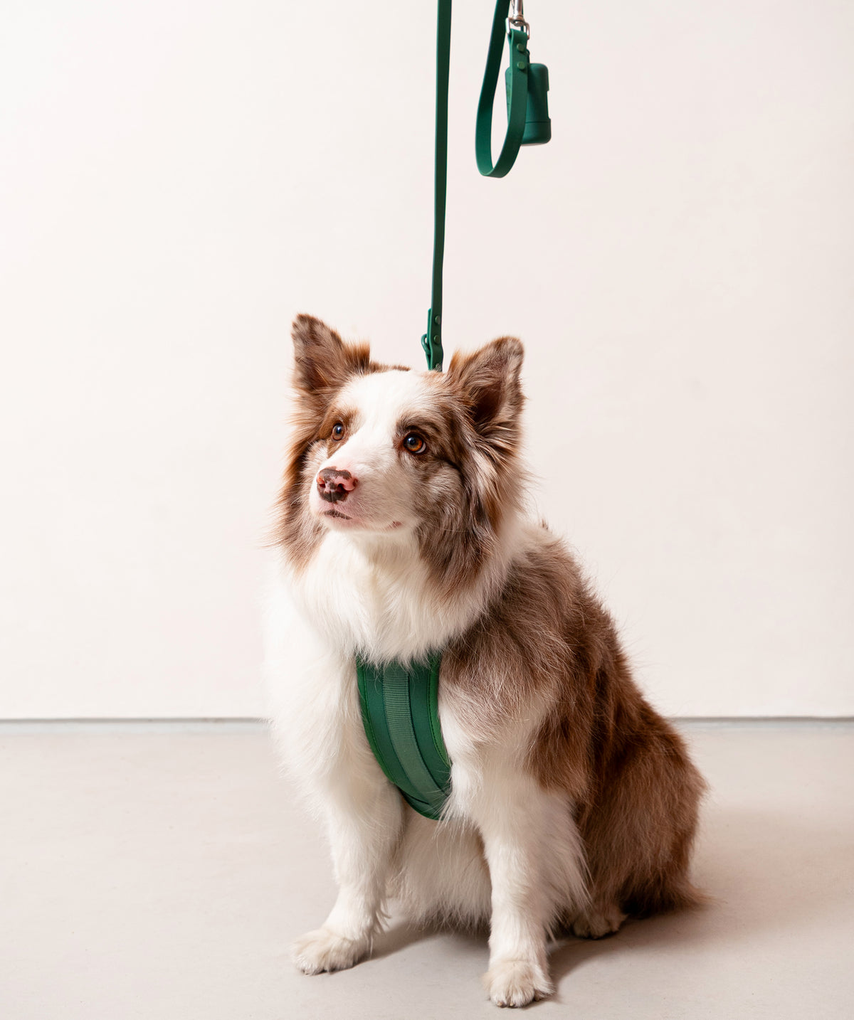 Smart Dog Leash - Verde