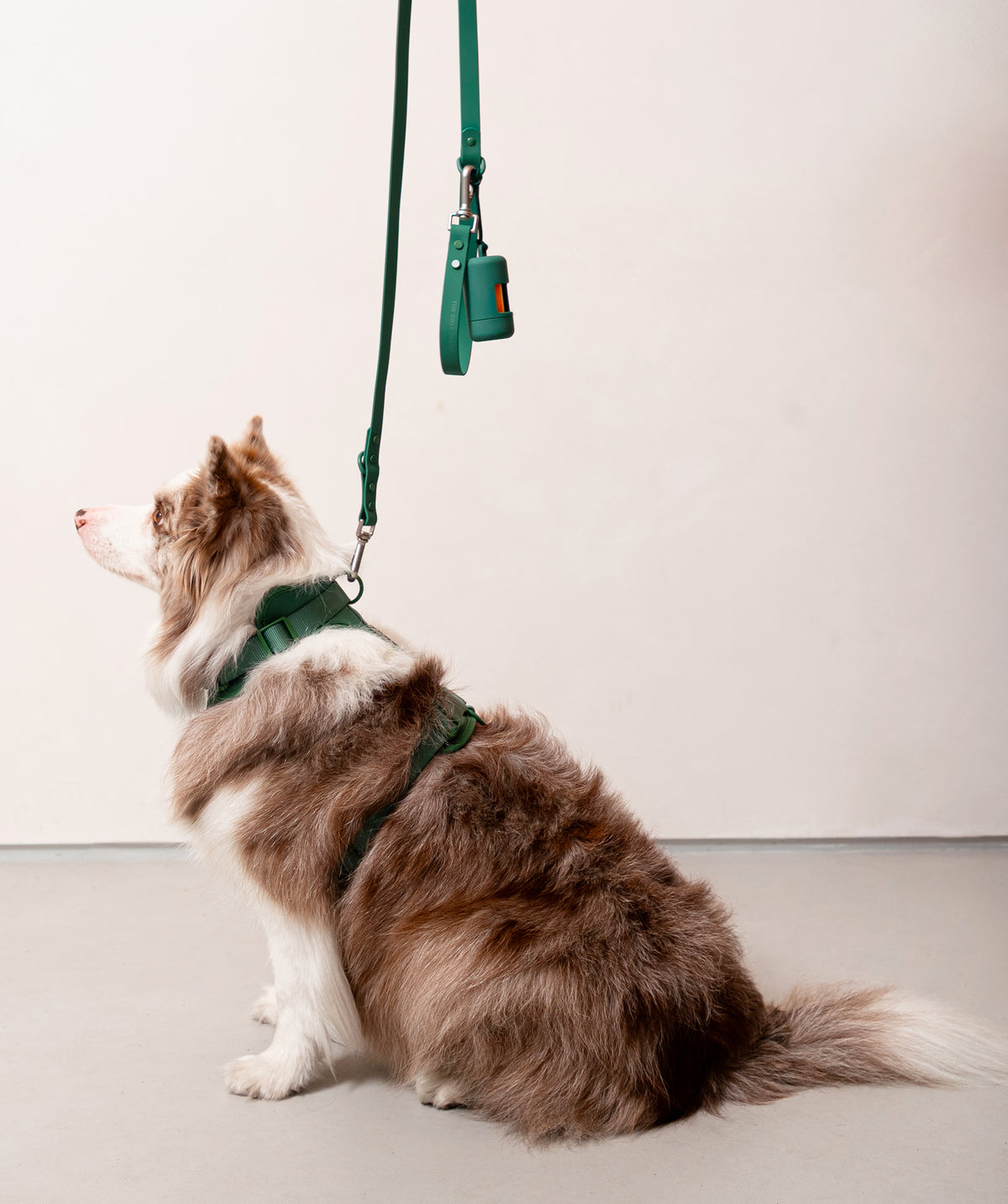 Smart Dog Leash - Verde