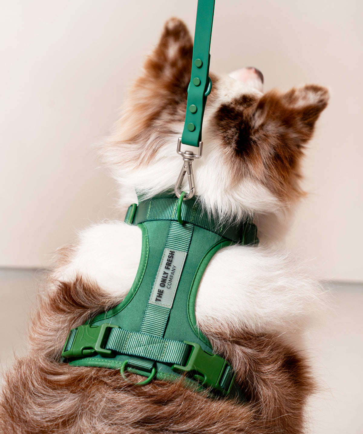 Smart Harness