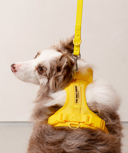 Smart Harness - Gelb