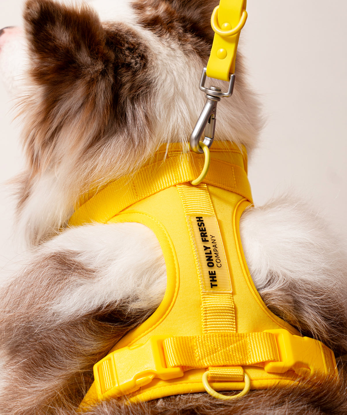 Smart Harness - Gelb