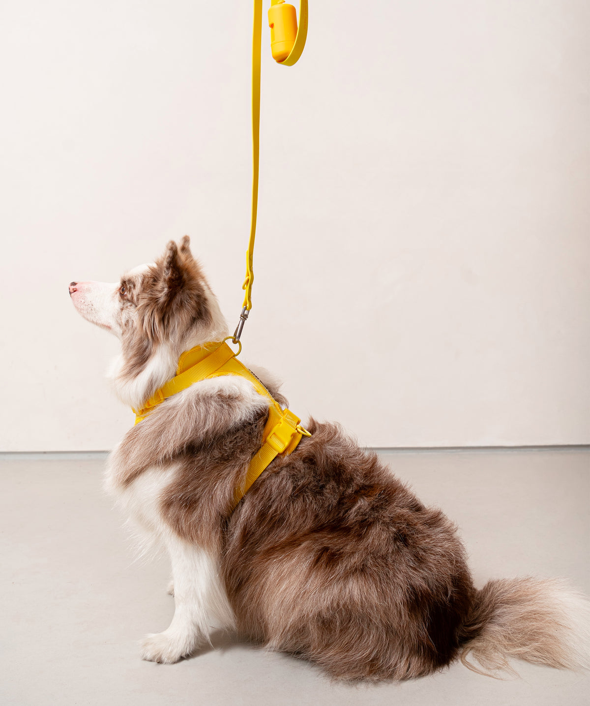 Smart Harness - Gelb