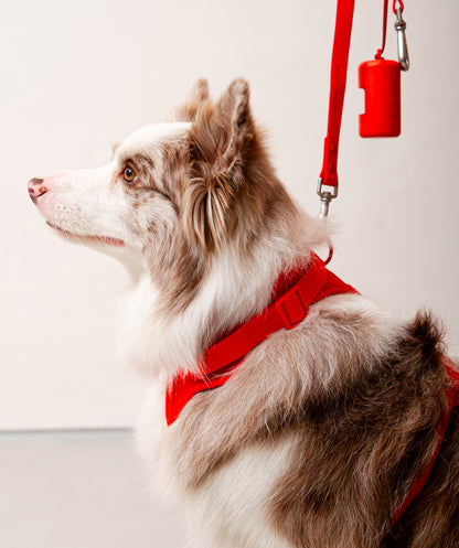 Smart Harness