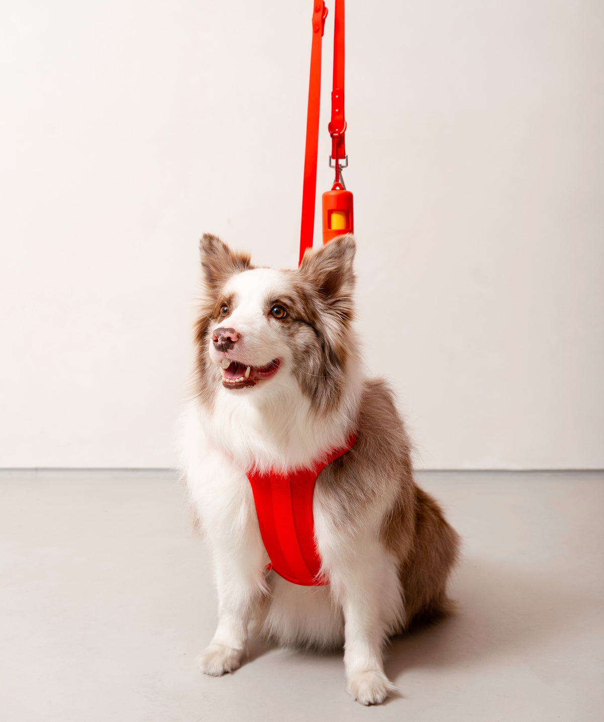 Smart Dog Leash - Rosso