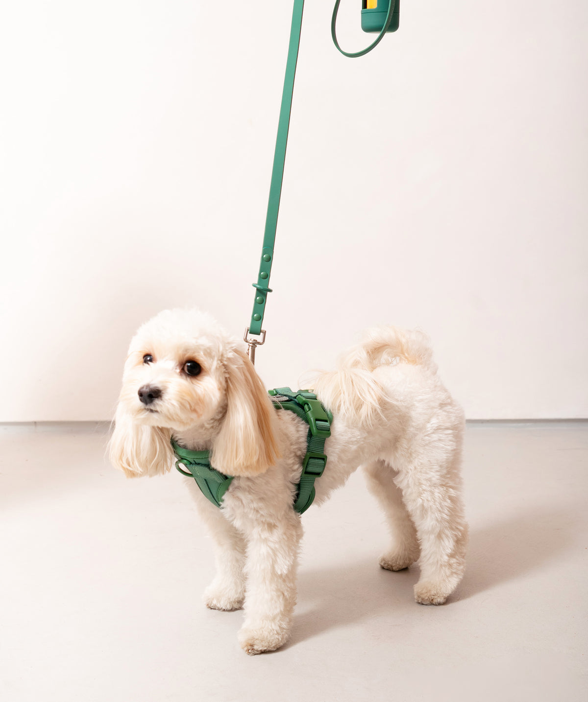 Smart Dog Leash - Verde