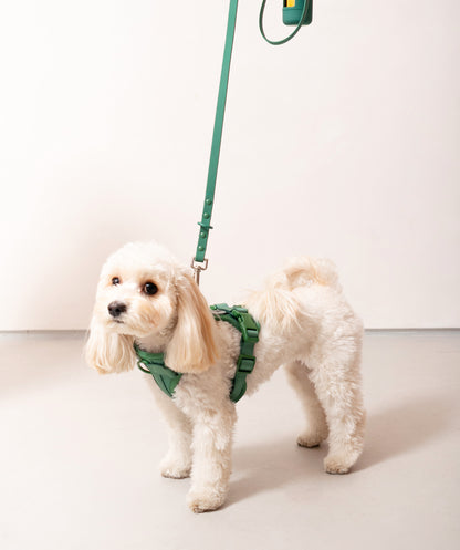 Smart Dog Leash - Verde