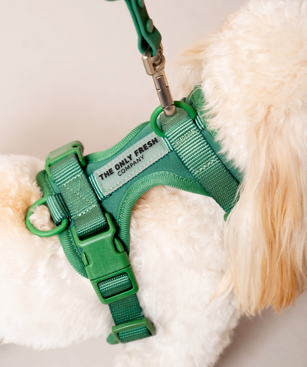 Smart Harness