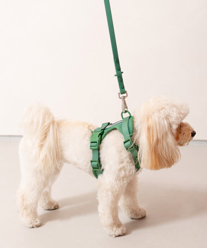 Smart Dog Leash - Verde