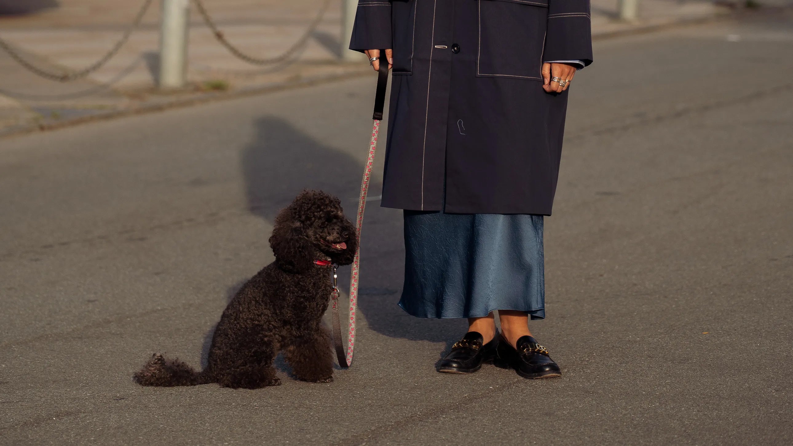 I 22 migliori regali per cani che renderanno il tuo migliore amico più felice che mai