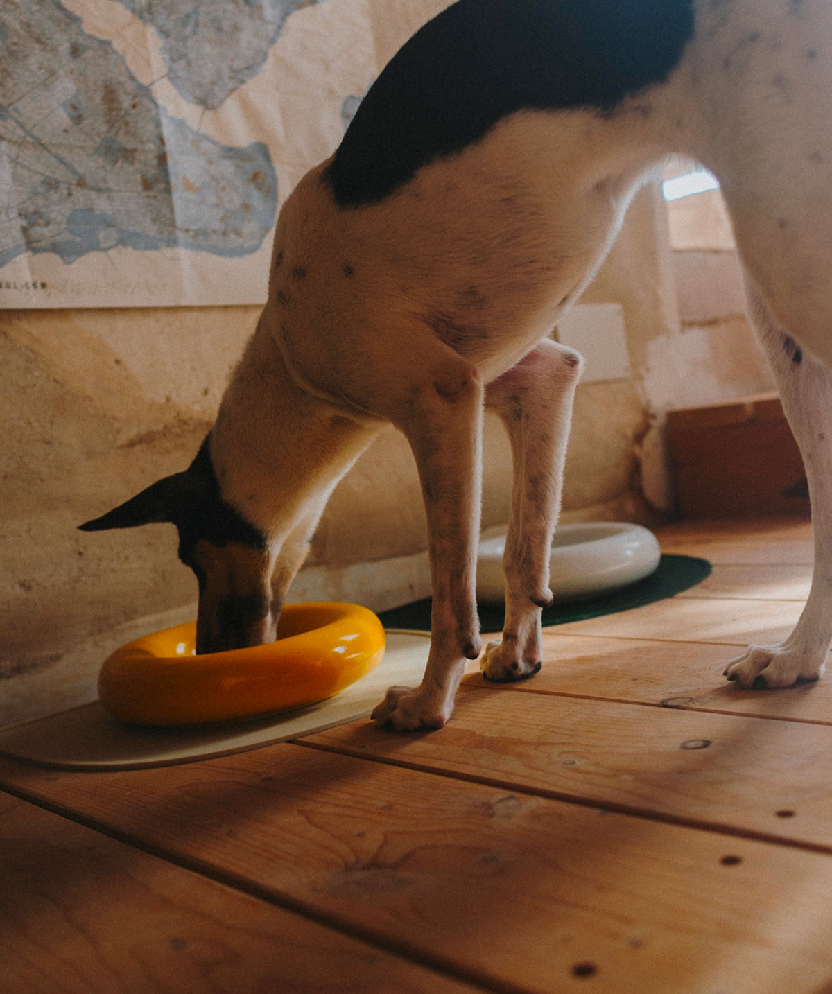 Ceramic Bowl - Giallo