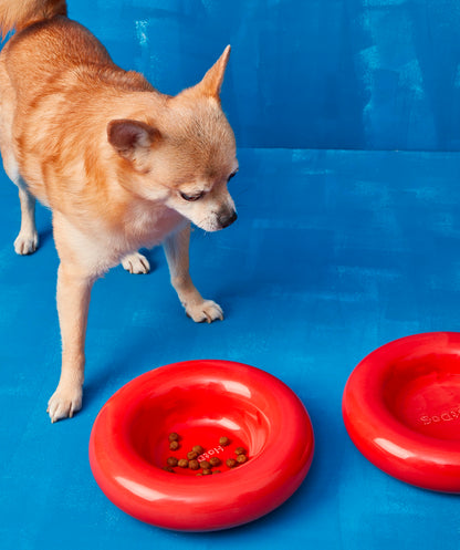 Ceramic Bowl