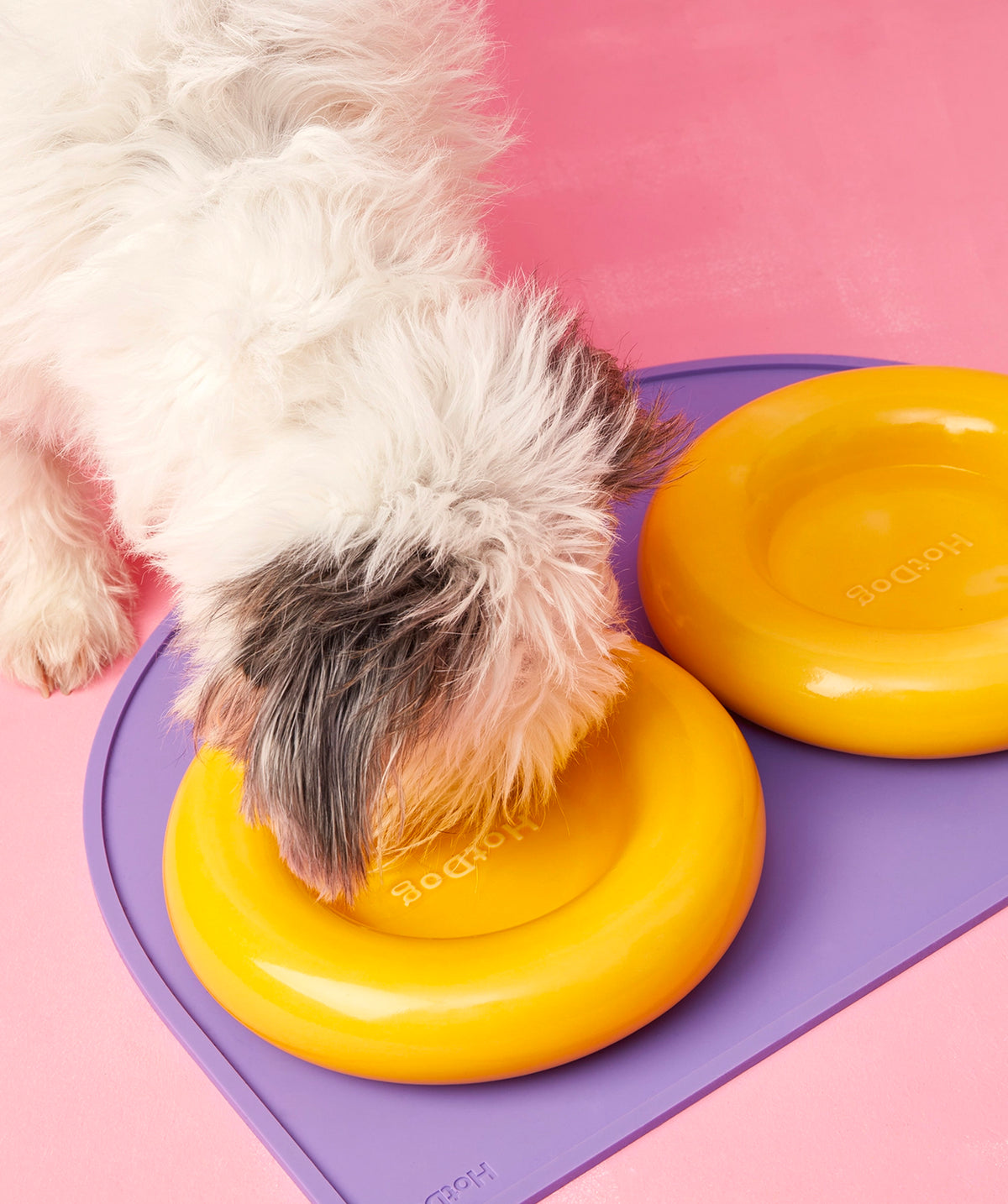 Ceramic Bowl - Giallo