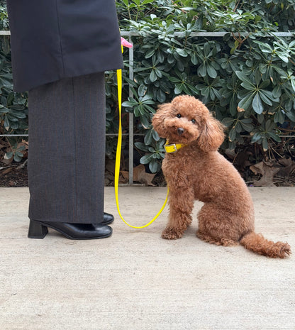 Smart Dog Leash - Geel