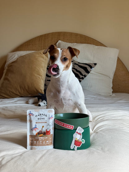 Meatballs for Dogs - Wild Mountain