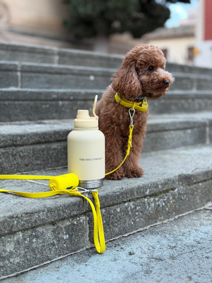 Multifunction dog bottle