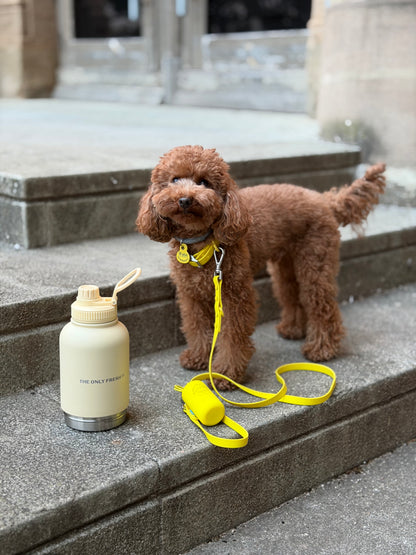 Smart Dog Leash - Geel