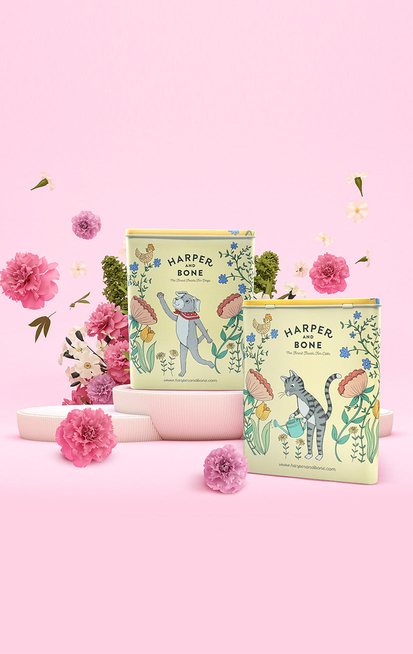 Metal Tin - Harper & Bone