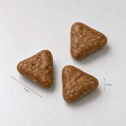 Adult mini exigent - Iberian pork