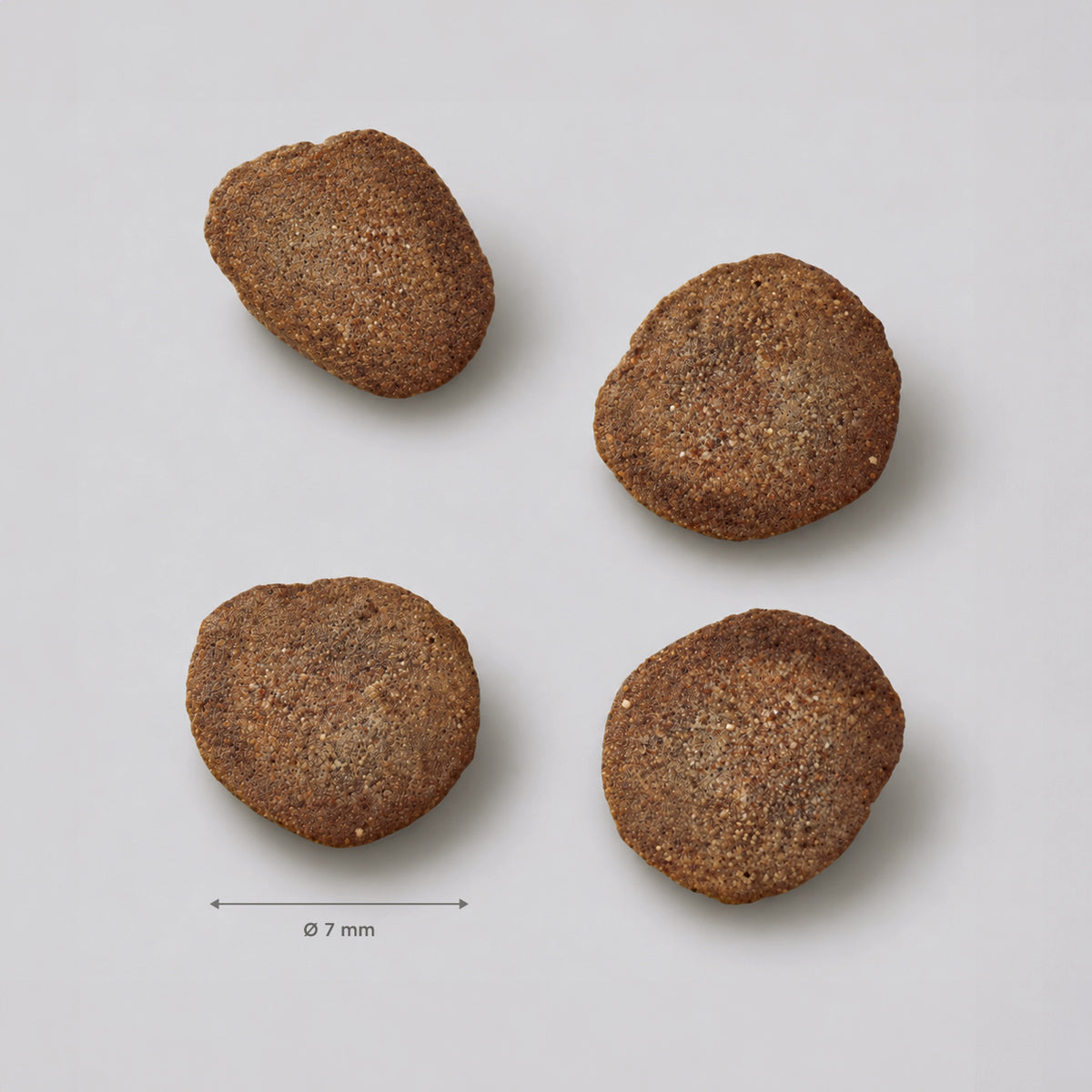 Hypoallergenic - Fresh insect - para gatos