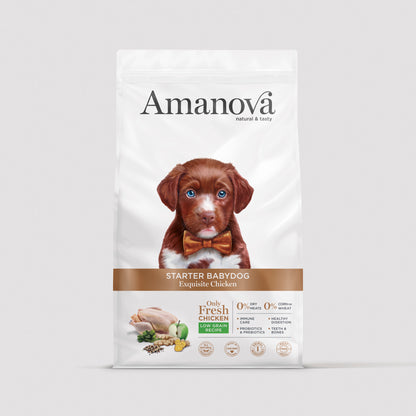 Pienso Starter Babydog Exquisite Chicken de Amanova para cachorros en bolsa