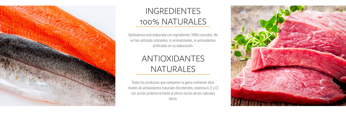 image-banner