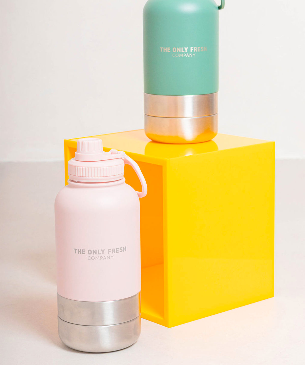Multifunction dog bottle