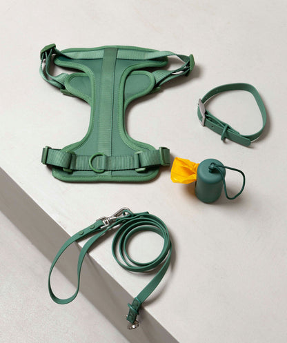 Smart Dog Leash - Verde