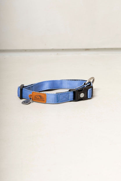 Adjustable Dog Collar