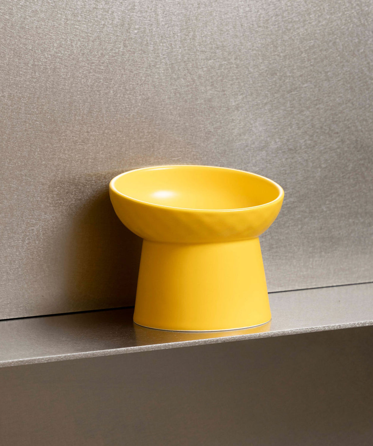 Onlyfresh Glow Bowl elevated bowl for cats, grey or neutral color