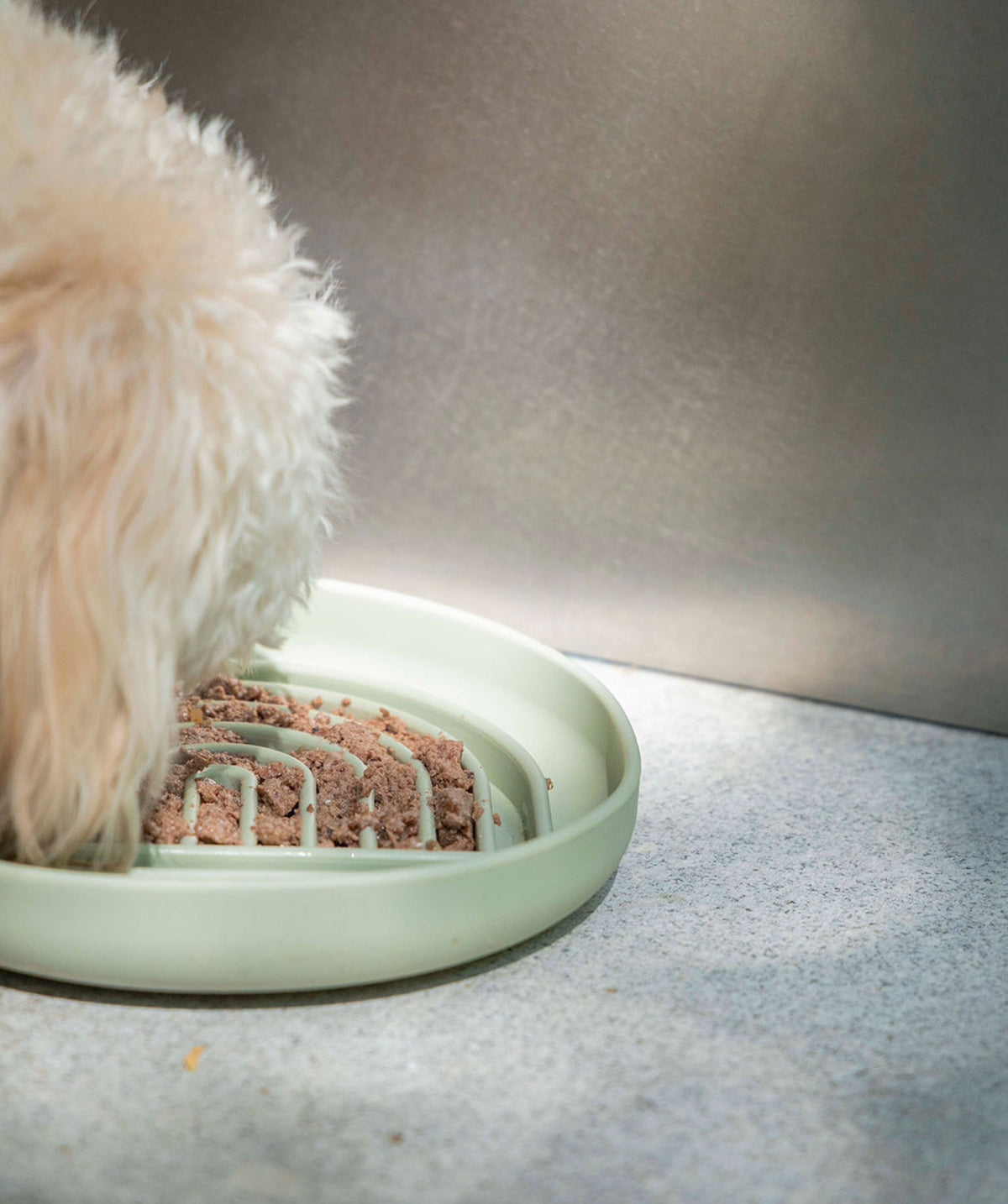 Slow Feeder For Pets