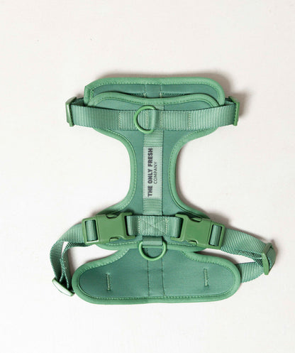 Smart Harness