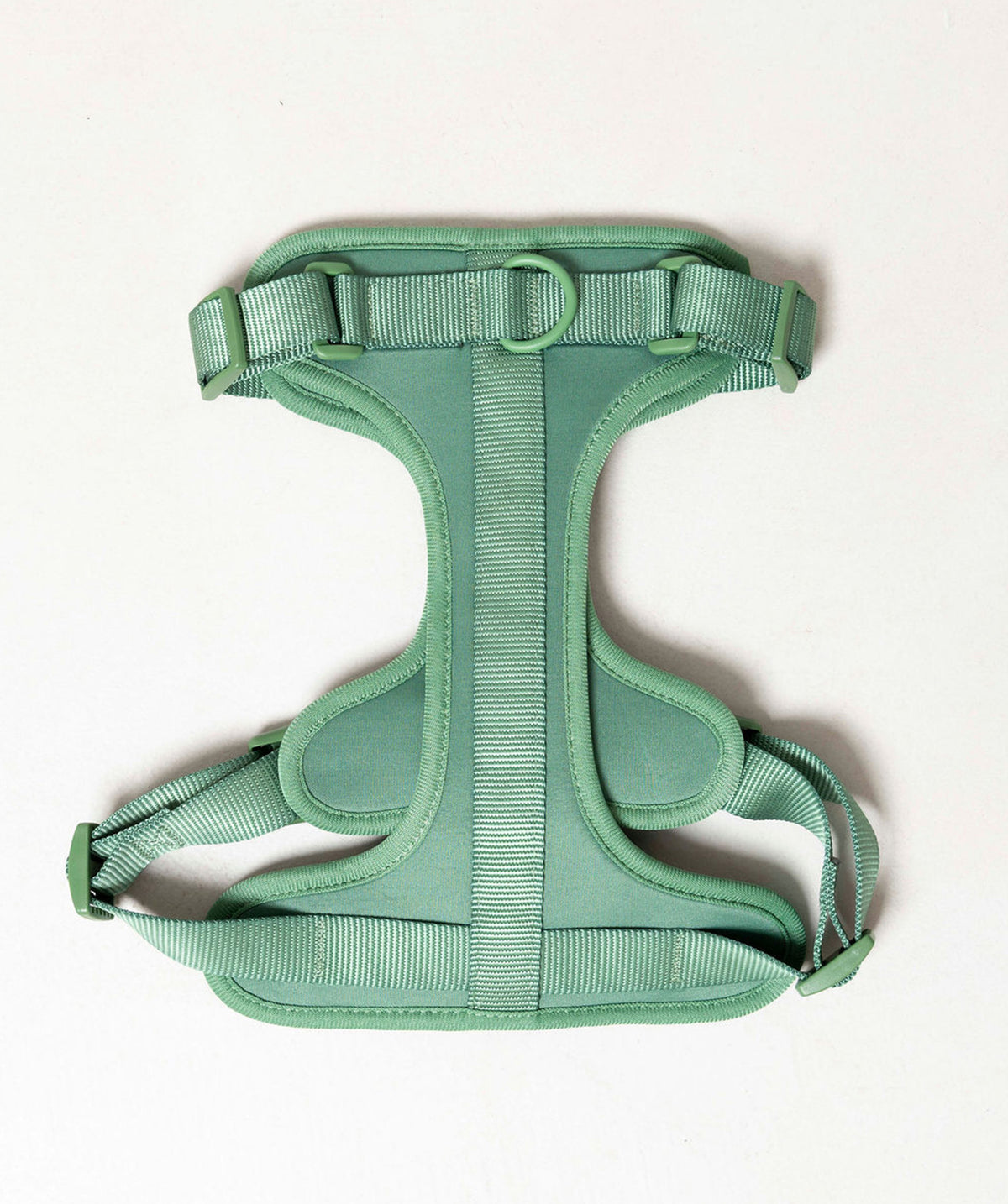 Smart Harness