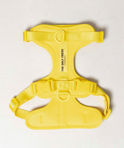 Smart Harness - Gelb