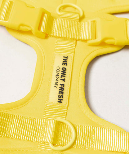 Smart Harness - Gelb