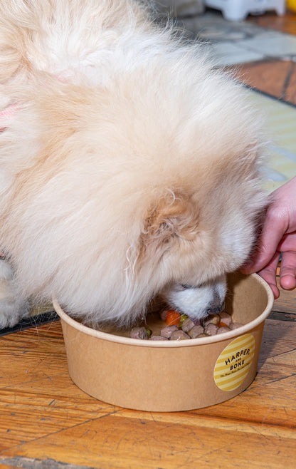 Meatballs for Dogs - Ocean Wonders