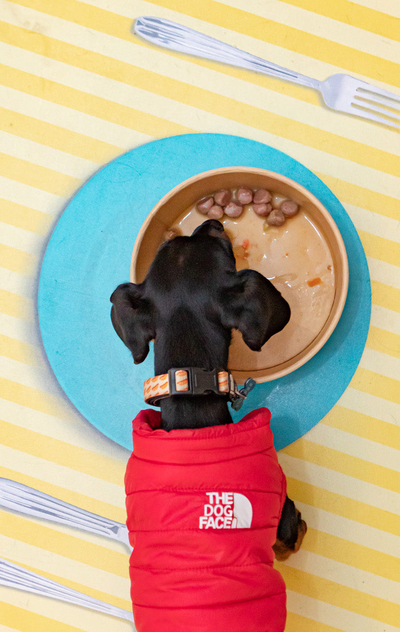Meatballs for Dogs - Flavours of the Farm