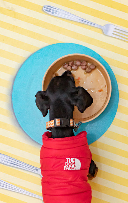 Meatballs for Dogs – Fresh Market