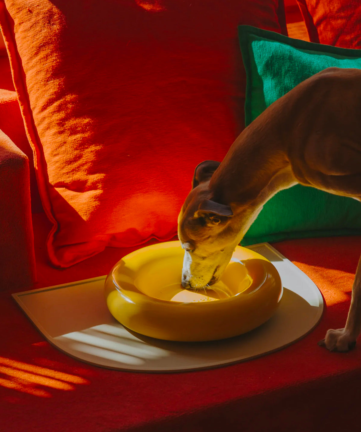 Ceramic Bowl - Giallo