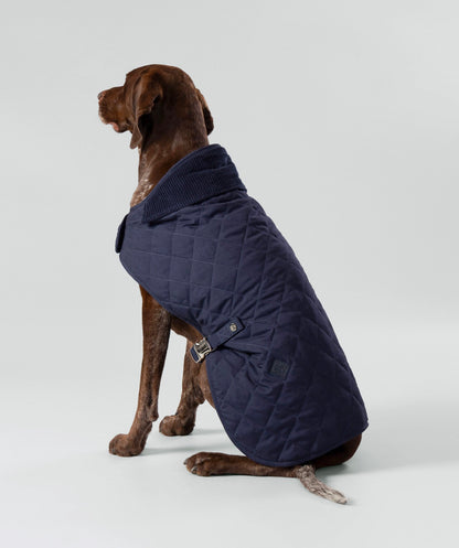 Chaqueta acolchada