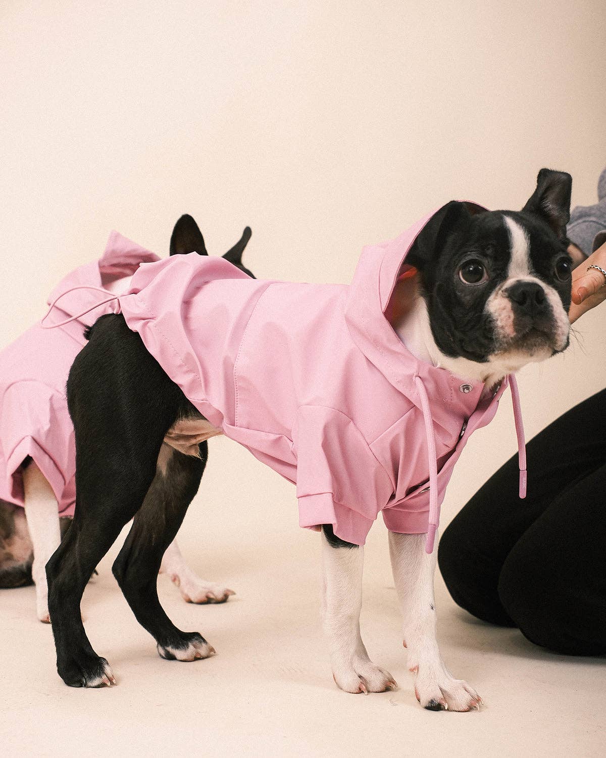 Pink Dog Raincoat - płaszcz przeciwdeszczowy