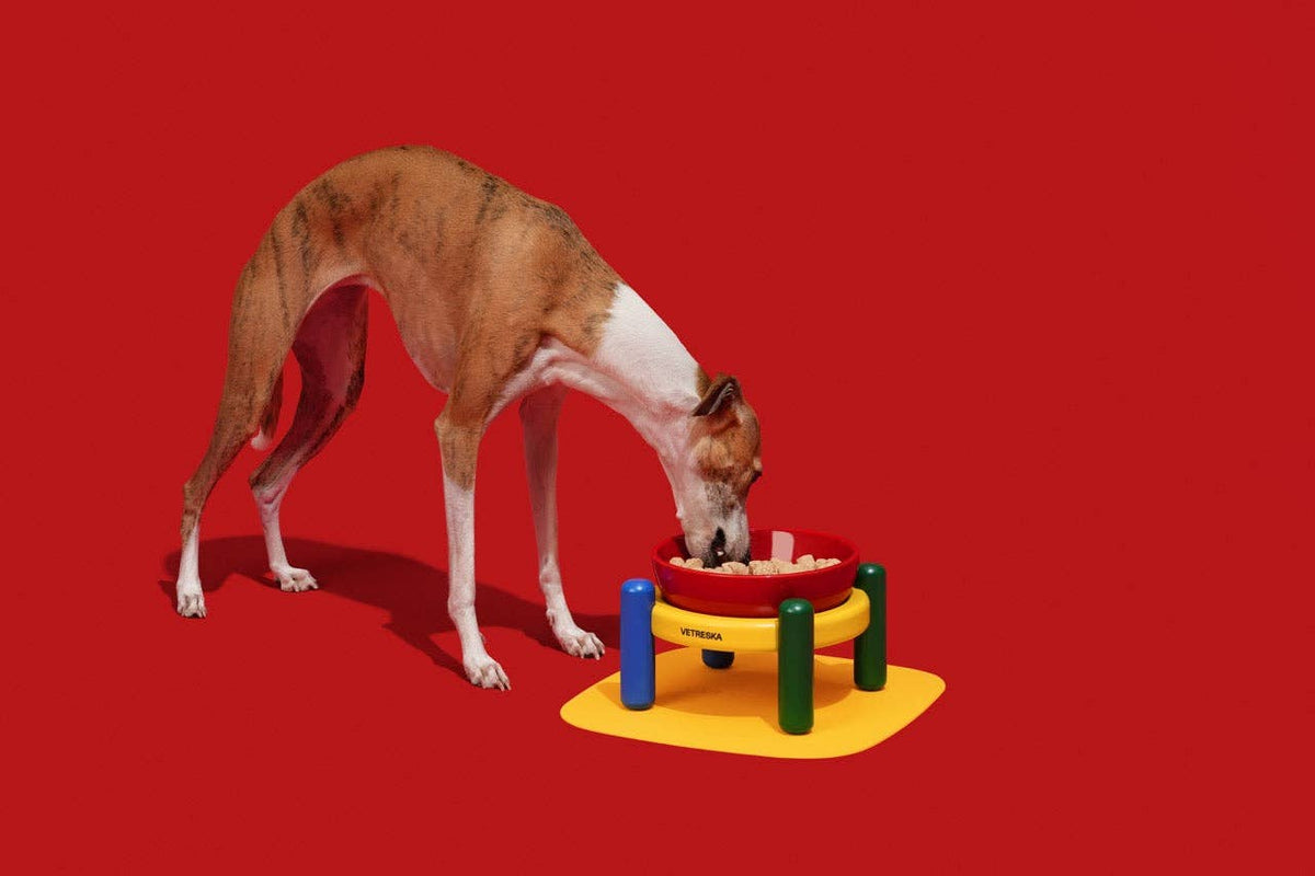 Chroma Ceramic Pet Bowl & Mat Set - comedouro