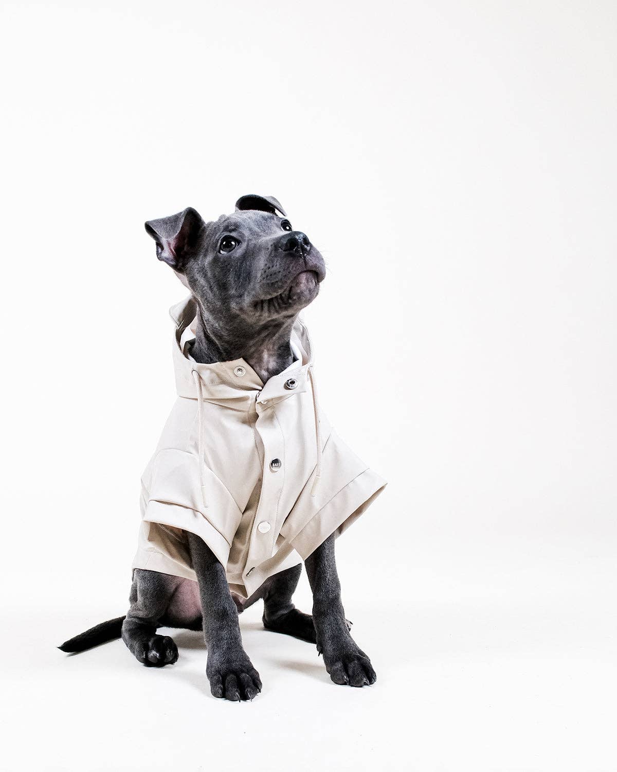Stone Dog Raincoat - impermeável