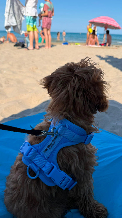 Smart Harness